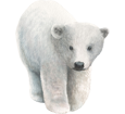 Polar Bear ##STADE## - look 7